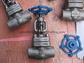 Wholesale Flange And Butt-welded Check Valve 5