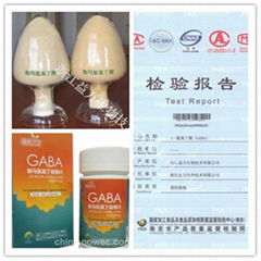 γ-氨基丁酸 GABA