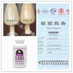 伽馬氨基丁酸 GABA