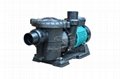 High Performance Residential Swimming Pool Pump