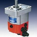 CBWS/F-D3 Hydraulic Gear Pump