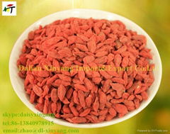 Wholesale price Ningxia dried  goji berry