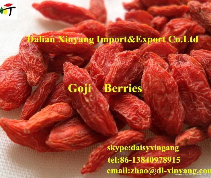 EU Hot Sell Dried Ningxia goji berry 5