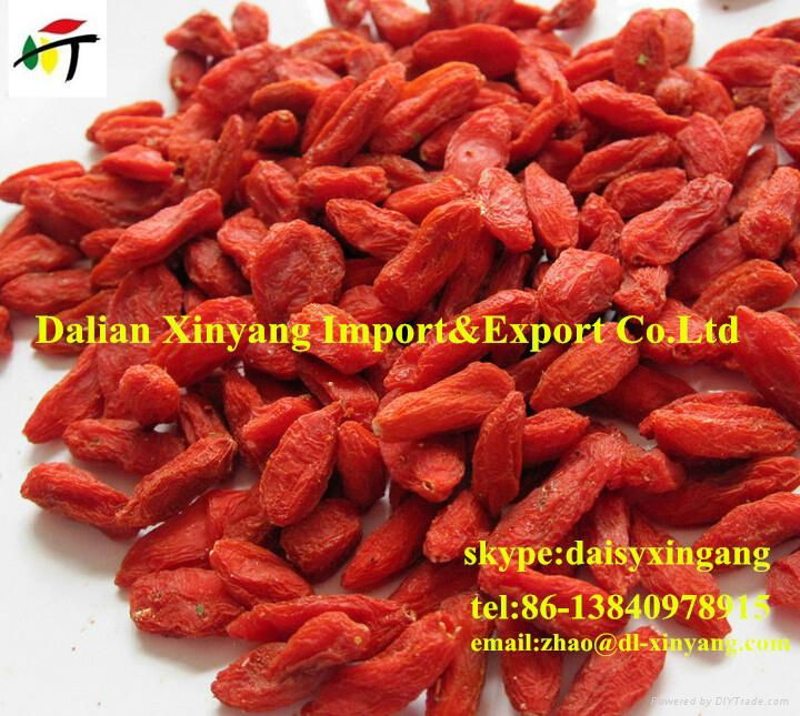 100% Ningxia organic  dried goji berries 