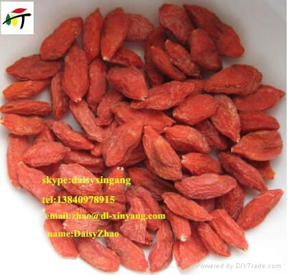 Chinese High Quality Red Ningxia Bulk Dried Goji Berry