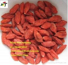 Chinese High Quality Red Ningxia Bulk Dried Goji Berry