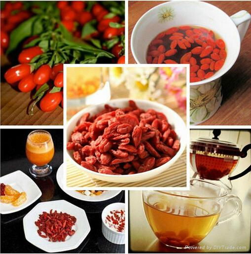 Chinese High Quality Red Ningxia Bulk Dried Goji Berry 2