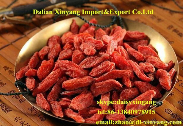 Chinese High Quality Red Ningxia Bulk Dried Goji Berry 3