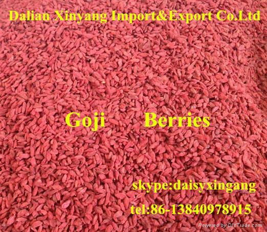 2014 New crop  Certified Organic Goji Berry 2