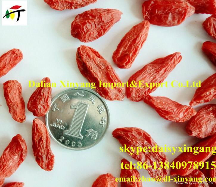 2014 New crop  Certified Organic Goji Berry 4