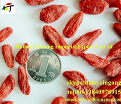 Wholesale price organic Ningxia goji berry