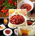 Wholesale price organic Ningxia goji berry 2