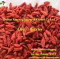 Wholesale price organic Ningxia goji berry 4
