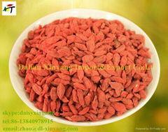 Certificated organic dried goji berry