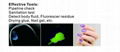 UV 12LED FLASHLIGHT Flashlight 395nm-410nm UltraViolet Blacklight Pet Urine Dete 2