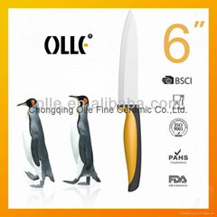 6" Stylish Promotion Kitchen Knife for Gift