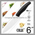 6'' High Quality Zirconia Cutting Ceramic Kitchen Knife