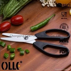 Ceramic Double Blade Kitchen Scissors