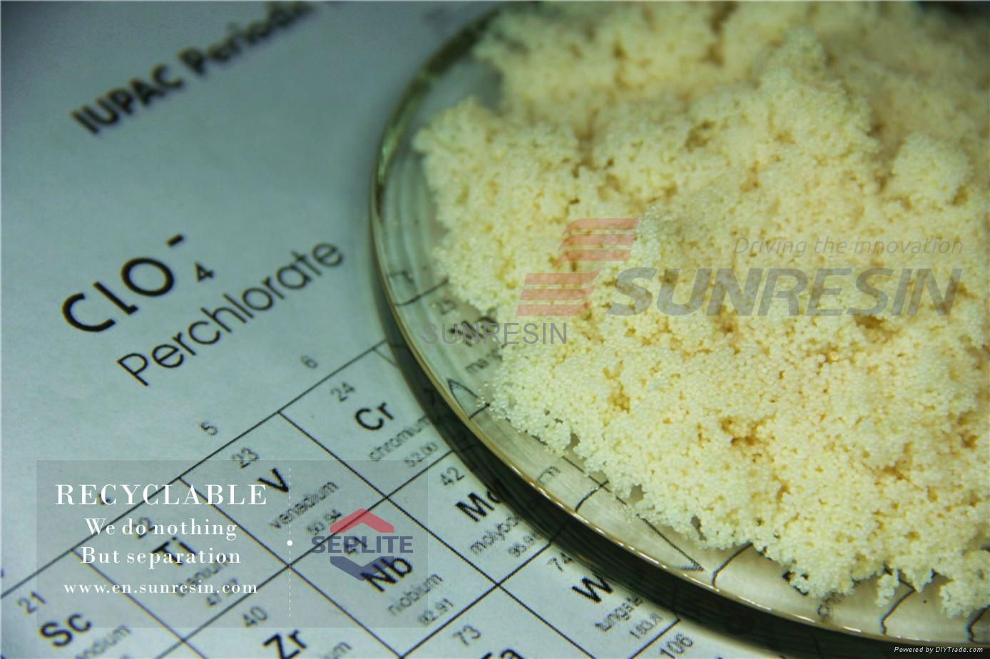 Ion exchange resin for perchlorate removal water treatment chemicals