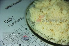 Ion exchange resin for perchlorate removal water treatment chemicals