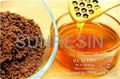 Polymeric resin for honey antibiotics