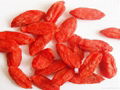 wolfberry,goji wolfberry 5