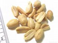 blanched peanuts kernal,blanched peanuts,shandong peanuts kernal 2