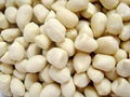 blanched peanuts kernal,blanched peanuts,shandong peanuts kernal 4