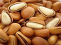 pine nuts