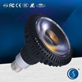 Quality 18W LED Par Light Wholesaler