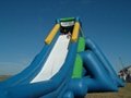 largest inflatable water slide hippo inflatable water slide jumbo water slide  3