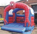 inflatable bouncer for sale inflatable
