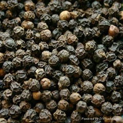 Black Pepper for sale