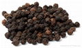 Black Pepper Ready for sale