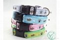 Colorful Blossoms Dog Collars 5