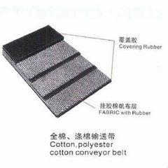 Cotton conveyor belt