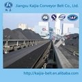 Fire-Resistant Steel Cord Conveyor Belt