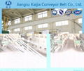 steel cord conveyor belt 1