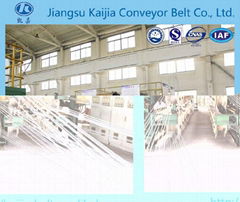 steel cord conveyor belt