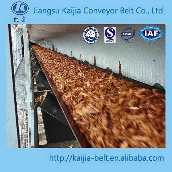 nylon conveyor belt 2