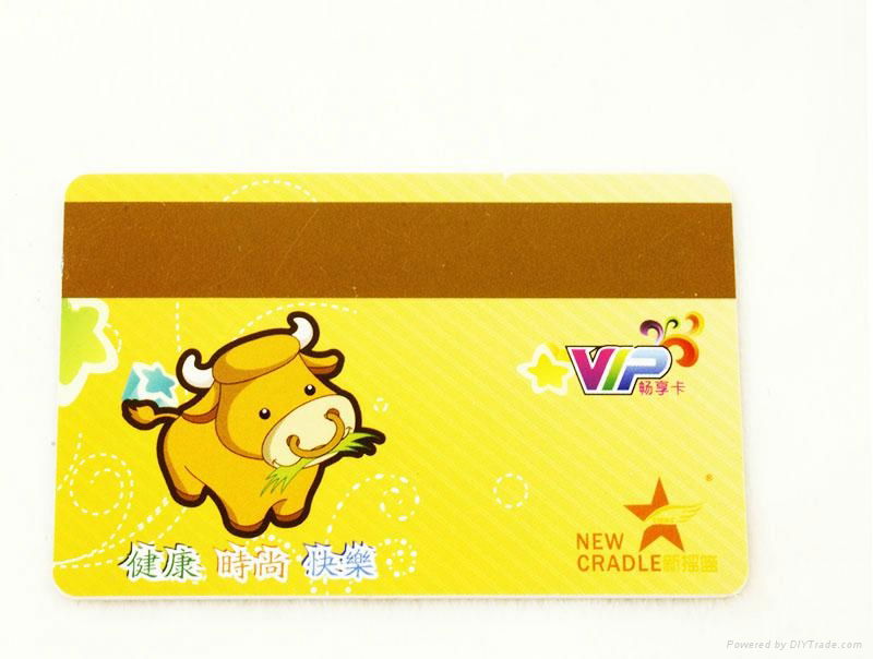 Magnetic stripe card 2