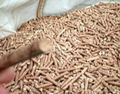 sale wood pellets fuel 3
