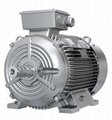 SIMOTICS GP 1LE0001 High Efficiency Low-voltage Motor