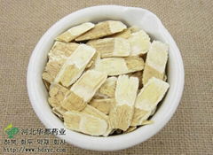 Chinese Astragalus/ Huang qi