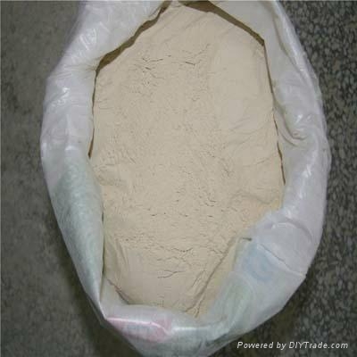 山东鑫瑞冠小麦面筋粉 2