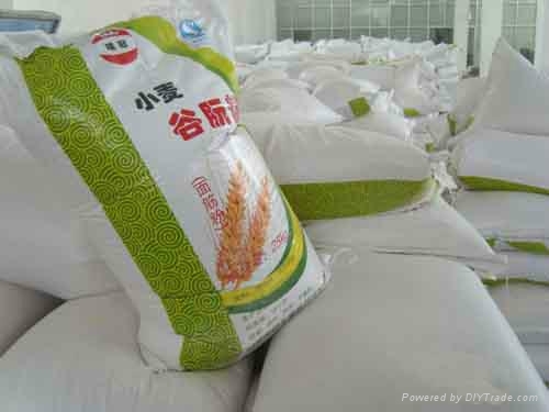 山东鑫瑞冠小麦面筋粉