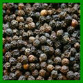 Vietnam Black pepper BEST PRICE 3