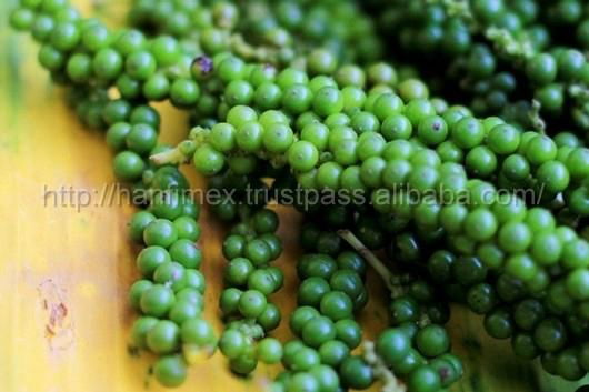 Vietnam Black pepper BEST PRICE