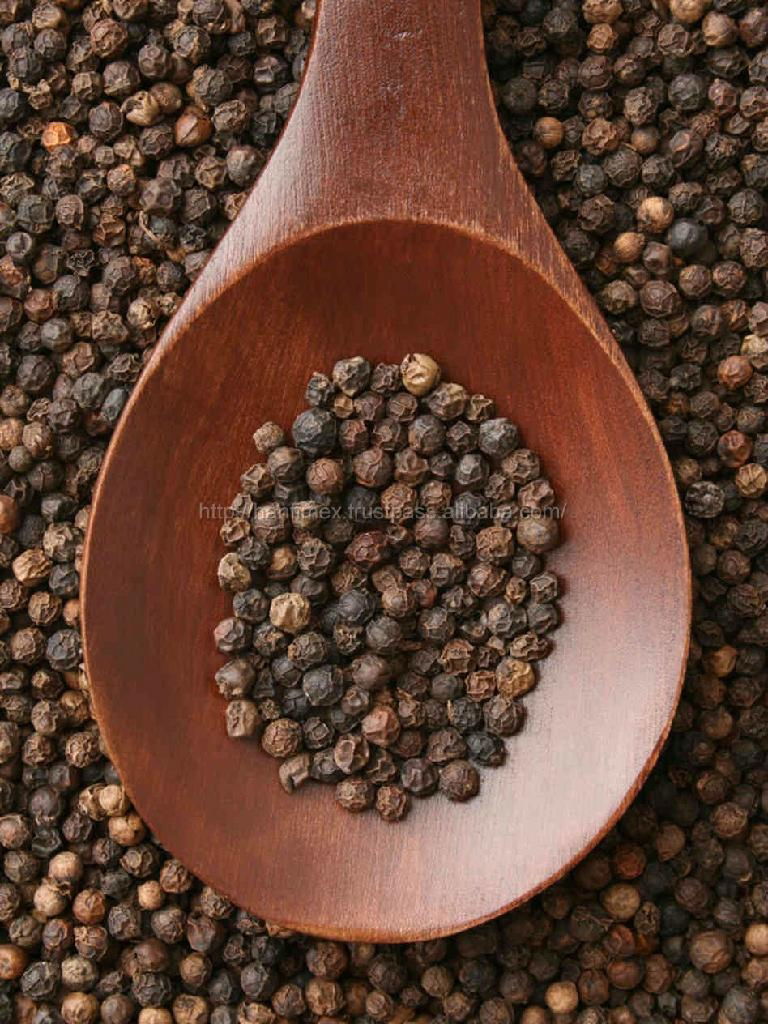 Vietnam Black pepper BEST PRICE 4