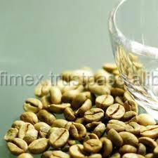 BEST PRICE HIGH QUALITY Vietnam ROBUSTA COFFEE BEANS